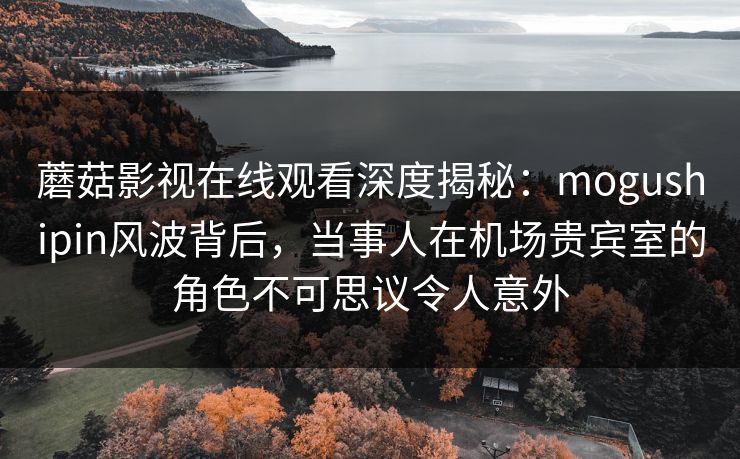 蘑菇影视在线观看深度揭秘:mogushipin风波背后,当事人在机场贵宾室的角色不可思议令人意外 蘑菇影视在线观看深度揭秘:mogushipin风波背后,当事人在机场贵宾室的角色不可思议令人意外