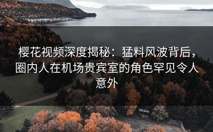 樱花视频深度揭秘：猛料风波背后，圈内人在机场贵宾室的角色罕见令人意外
